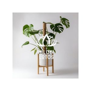 Poteau en fibre de coco de haute qualité pour la récolte propre et le soutien professionnel des vignobles, outil essentiel pour une gestion efficace des cultures - Product Image 1