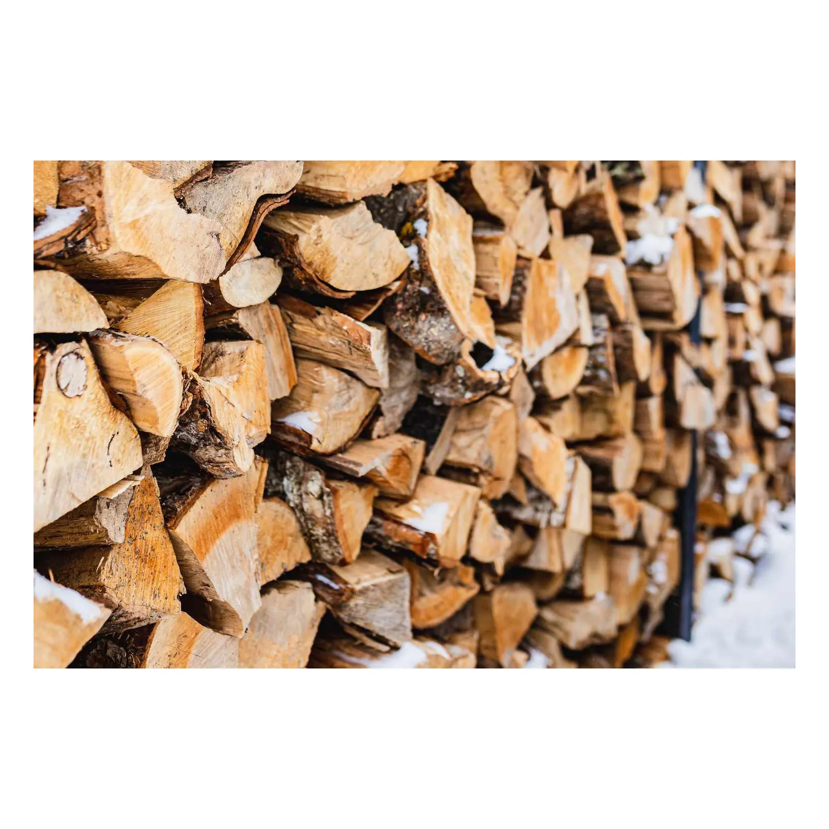 QUALITY CHEAP HOT SALE 100% ACACIA WOOD AND PINE FIREWOOD AND BIRCH FIREWOOD IN BAGS FOR SALE WORLDWIDE