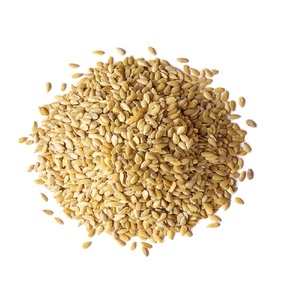 Proveedor Mayorista de Semillas de Lino Doradas Naturales de Primera Calidad para Productos Agrícolas, Origen Estadounidense, 1 Año de Vida Útil - Product Image 5