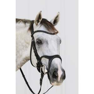 สนับแข้งกายวิภาค - Product Image 1