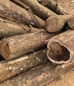 Vietnamese Common Wooden Piles for <b>Garden</b> <b>Decoration</b> and Accessories - Product Image 6