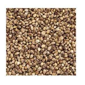 Semillas de Cáñamo Orgánico Premium, Altamente Feminizadas, al por Mayor a Granel de Canadá, 1 Año de Vida Útil - Product Image 6