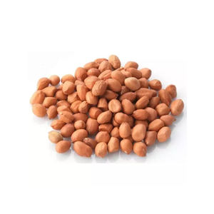 Approvisionnement en vrac d'arachides de qualité supérieure, vente en gros, prix abordable, vrac frais - Product Image 5