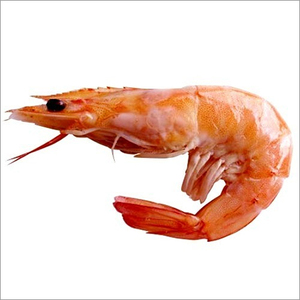 Proveedor de Mariscos de Calidad de Exportación, Camarones Congelados IQF Premium - Product Image 5