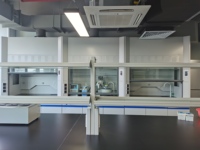 Equipo de Laboratorio, Extractor de Gases, Campana de Extracción de Humos Tipo Ducto de PP/SS/Acero para Laboratorio de Química/Escuela/Comercial