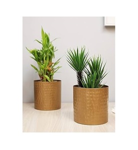 Vases à fleurs en laiton de qualité supérieure pour la décoration de table à domicile, pots à fleurs en métal de qualité supérieure, meilleurs pots pour le jardin à domicile - Product Image 6