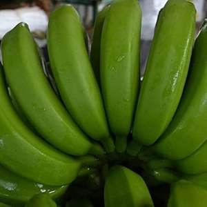 Plátano Fresco 2026 para el Mercado de Frutas, Precio Razonable, Calidad Premium, Plátano Dulce Disponible a Granel para Exportación, Compradores Mayoristas - Product Image 2