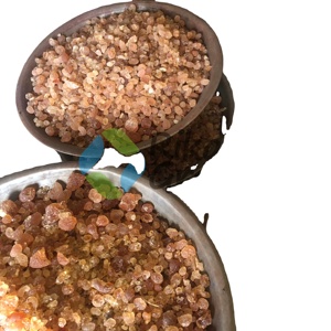 Aditivo alimenticio de polvo árabe de goma de acacia de Sudán Natural Premium 100% de Rikaz Group para uso agrícola multiusos - Product Image 1