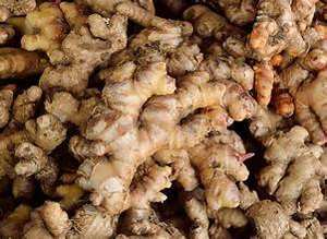 ÉPICES À BASE DE PLANTES DE QUALITÉ SUPÉRIEURE DE RACINE DE GALANGAL TOUT NATUREL FRAIS POUR BOOST IMMUNITAIRE ET PROPRE ÉTIQUETTE INGRÉDIENT DE BIEN-ÊTRE - Product Image 5