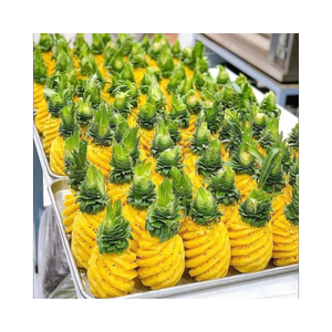 สับปะรดอบแห้งที่มีอายุการเก็บรักษาที่ยาวนาน เหมาะสำหรับบรรจุภัณฑ์ขนม ใช้ตกแต่งอาหาร และใช้ในเครื่องดื่ม - Product Image 5