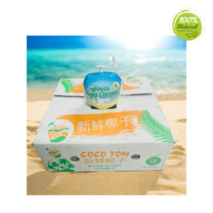 วิธีการทำโยเกิร์ตมะพร้าวสด - Product Image 5