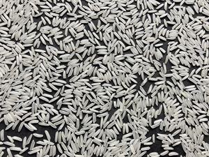Riz ST25 d'exportation du Vietnam, type de culture OGM, riz blanc de couleur naturelle, délicieux, riz entier séché, sacs de 25 kg et 50 kg - Product Image 4