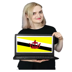 Servicios de SEO para productos de desarrollo secundario de Brunei - Product Image 1