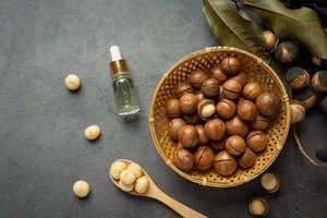 Wholesale Manufacturer Factory Of Aromatherapy Natural Macadamia <b>Carrier</b> <b>Oil</b> 100% Pure And Natural Macadamia <b>Carrier</b> <b>Oil</b> India - Product Image 5