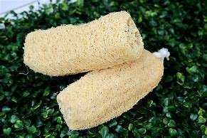 100% Organic Loofah Whole Sustainable, exfoliación natural, alta calidad de VIET FARGIMEX - Product Image 5