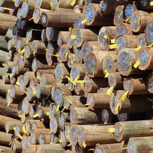 Quality Treated Wooden Utility Transmission Poles | Black 5-Year Warranty IEC60439 Standard 110V Model for Sale - Product Image 5