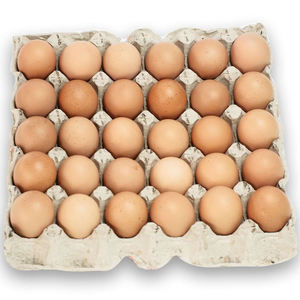 Huevos Frescos de Gallina Blanca de Alta Calidad, Huevos de Granja con Sabor Natural, Aptos para el Consumo Diario - Product Image 6