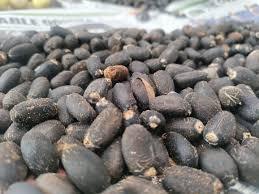 ผลไม้จาโทรปาแห้งสำหรับการทอผ้าอ้อย - Product Image 3