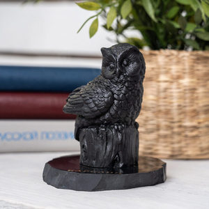 Figura de búho de shungita sobre un tronco de árbol - Product Image 5