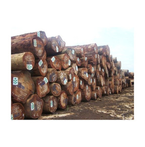 ไม้สนจากสวนไม้ที่ได้รับการรับรองความยั่งยืนจากบราซิลและยุโรป สำหรับโครงการก่อสร้างที่ใส่ใจสิ่งแวดล้อม จำหน่ายราคาส่ง - Product Image 4