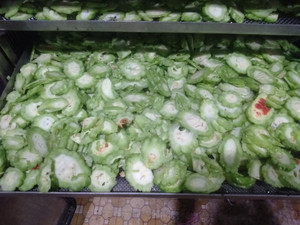 High Quality Food <b>Dried</b> Bitter Melon Slices Dry <b>Vegetable</b> From Vietnam - Product Image 2