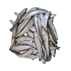 Poissons d'anchois congelés de haute qualité d'Autriche Poissons nutritifs à vendre - Product Image 1