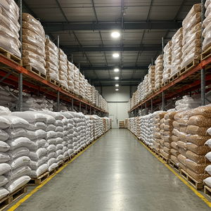 Noix de cajou séchées naturelles emballées avec des noix de cajou croquantes et fraîches pour l'exportation en gros de grandes quantités - Product Image 6