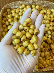 Semillas de loto secas al por mayor frescas y deliciosas/procesadas de forma segura a partir de semillas de loto naturales - Product Image 4