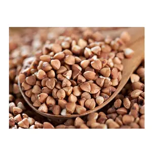 Best Quality Hot Sale Price Natural Organic Buckwheat/Roasted Buckwheat Kernels