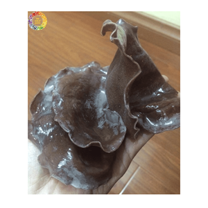 Champignons noirs séchés de qualité supérieure, champignons oreilles de bois séchés comestibles, champignons oreilles de nuage entiers ou en tranches, champignons en vrac pour la cuisine - Product Image 5