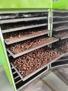 ALTA CALIDAD DE NUECES DE MACADAMIA EMBALADO AL VACÍO DE BLUE LOTUS FARM VIETNAM BEST SELLER 2023 - Product Image 4