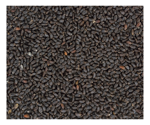 Graines de basilic 100% biologiques Sabja cultivées à l'état sauvage et de qualité alimentaire pour la santé de la peau et des cheveux Directement du fabricant - Product Image 3