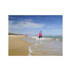 Precios competitivos para pedidos grandes Troncos largos de haya para fabricación de muebles sólidos a granel - Product Image 3