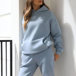 Light Blue <b>Women</b> Relaxed Oversized <b>Hoodie</b> Cotton Fleece Pullover Streetwear <b>for</b> Wholesale with Custom Branding - Product Image 3