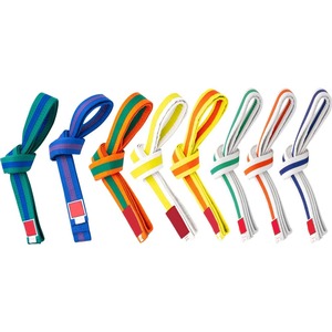 Venta al por mayor 100% algodón tejido Judo Karate cinturones 8 pies de largo doble cosido colores personalizados equipo para Taekwondo Jiu-Jitsu - Product Image 5