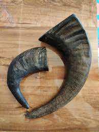 Accessoires de corne de buffle écologiques fabriqués à la main artisanat naturel décoration de la maison Style animal Technique brute durable - Product Image 3