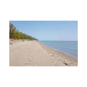 Bûche de hêtre pour la fabrication de meubles de qualité Bois polyvalent disponible en grande quantité Tarifs compétitifs - Product Image 4