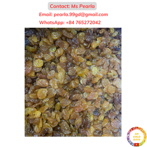 Uva seca natural pasas doradas frutas secas sin semillas tropicales proveedor de aperitivos a granel directamente de Vietnam - Product Image 6