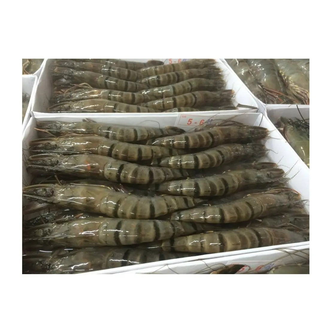 Vente en gros au Vietnam de crevettes tigrées noires PD crues, fruits de mer frais, crevettes pelées de haute qualité, crevettes tigrées noires