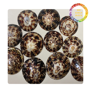 เปลือกหอย Limpet สะอาดขัด | พร้อมสำหรับสินค้าแฮนด์เมดและการตกแต่ง - Product Image 1