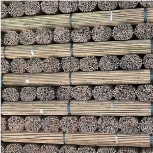 Piquets de bambou séchés pour le soutien de l'agriculture en vignoble, canne naturelle de Tonkin, fabricant au Vietnam - Product Image 2