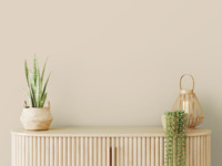 Peinture acrylique lavable écologique beige clair de haute qualité pour meubles et murs, fabriquée en Allemagne