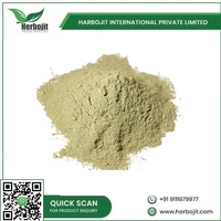Poudre d'extrait d'herbes de Nirgundi de la meilleure qualité, extraite par solvant, issue de plantation naturelle, par Herbojit International Private Limited