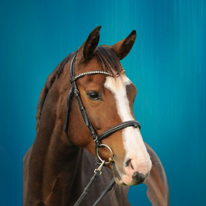 Wholesale High Quality Diamante <b>Chain</b> Horse Bridle New <b>Top</b> Quality Diamante Horse Bridle Wholesale High Quality Diamante Horse - Product Image 1