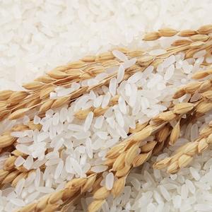 Riz Basmati Biologique Naturellement Aromatique Séché à Sec, Grains Longs, Vente en Gros, Prix Abordable - Product Image 2