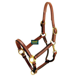 Design personnalisé anglais cheval licou véritable cuir de vache cheval serre-tête raccords en laiton qualité cheval équipement exportateur - Product Image 6