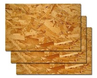 Panneau structurel en bois de pin OSB 3 de la marque Treezo, écologique, 1220*2440