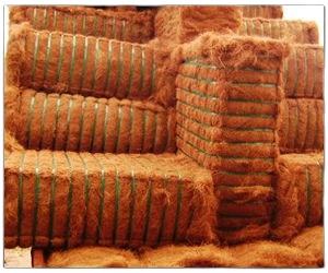 Fibras de coco frescas de primera calidad - Product Image 4