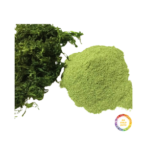 Vente en gros poudre biologique Ulva Lactuca/poudre d'algues vertes emballage personnalisé du Vietnam prix bon marché Ulva Lactuca pour l'alimentation animale - Product Image 1