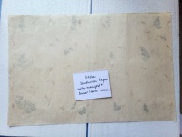 Papier Khadi fait main à base de coques de café, idéal pour les fournisseurs de papeterie de mariage et les fabricants de journaux